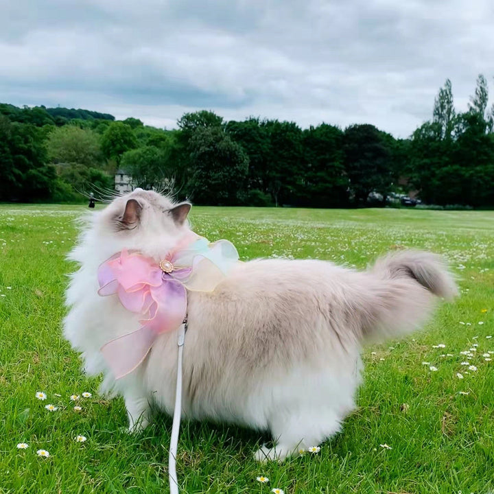 Experience Freedom with the Butterfly Flying Pet Leash