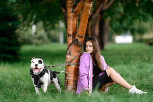 Safe and Durable Leashes & Harnesses