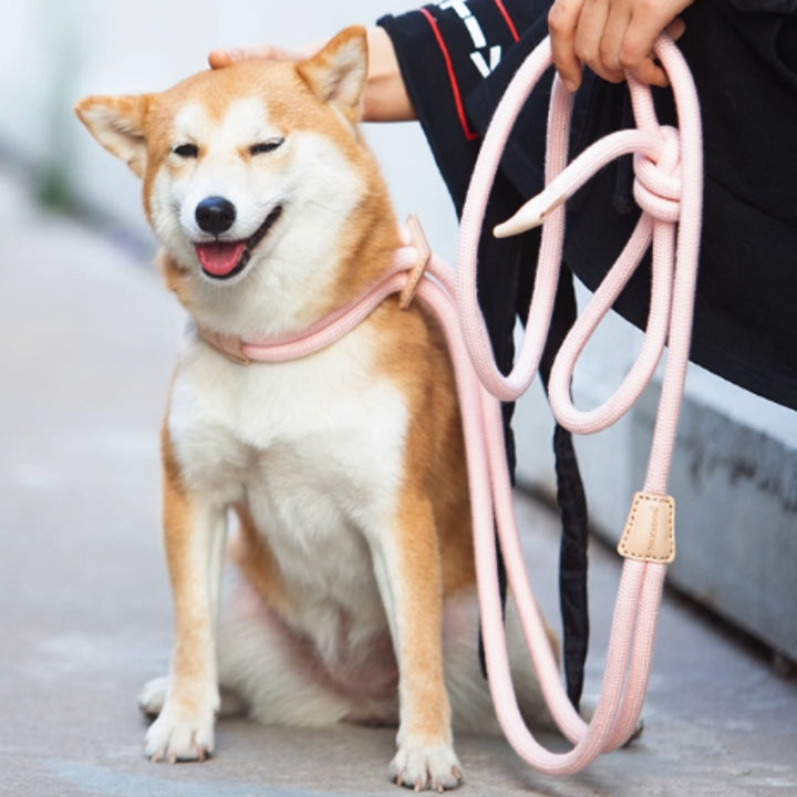 Pet Chest Harness Anti-Burst Leash