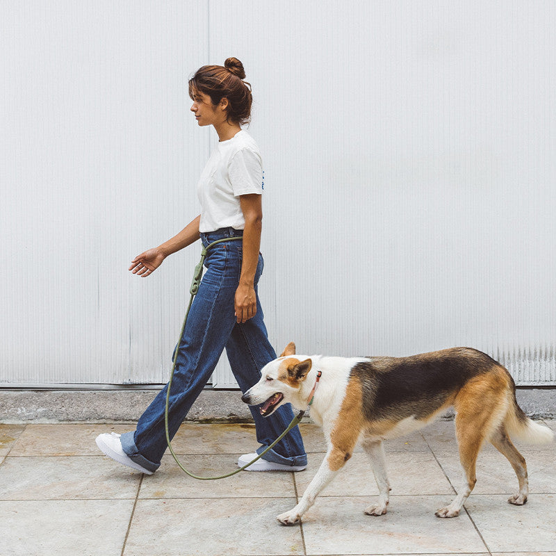 Pet Dog Minimalist Slant Leash