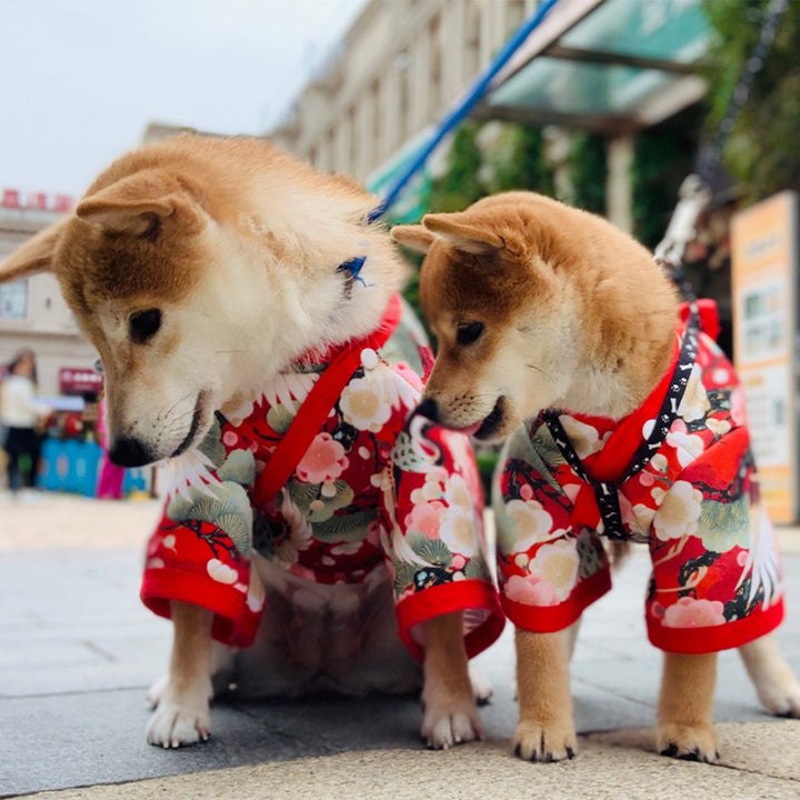 Kimono Pet Decoration Clothes Cat