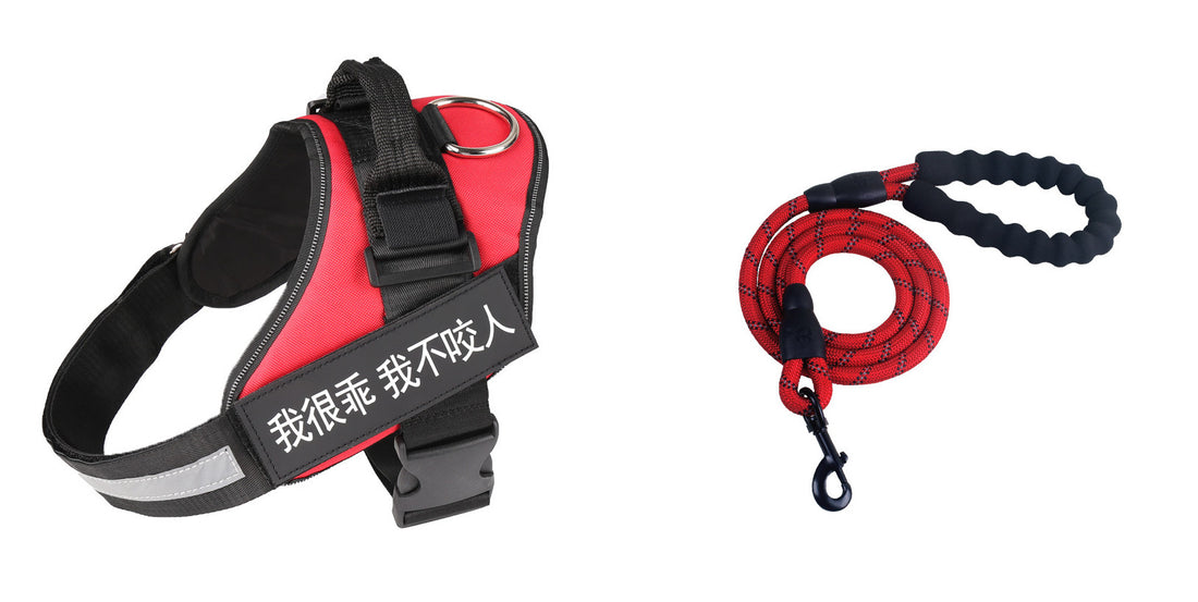 Simple Pet Leash Chest Strap Set
