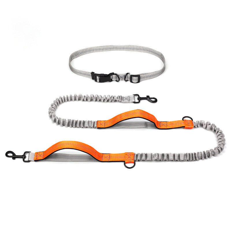 Pet Outdoor Running Dog Leash