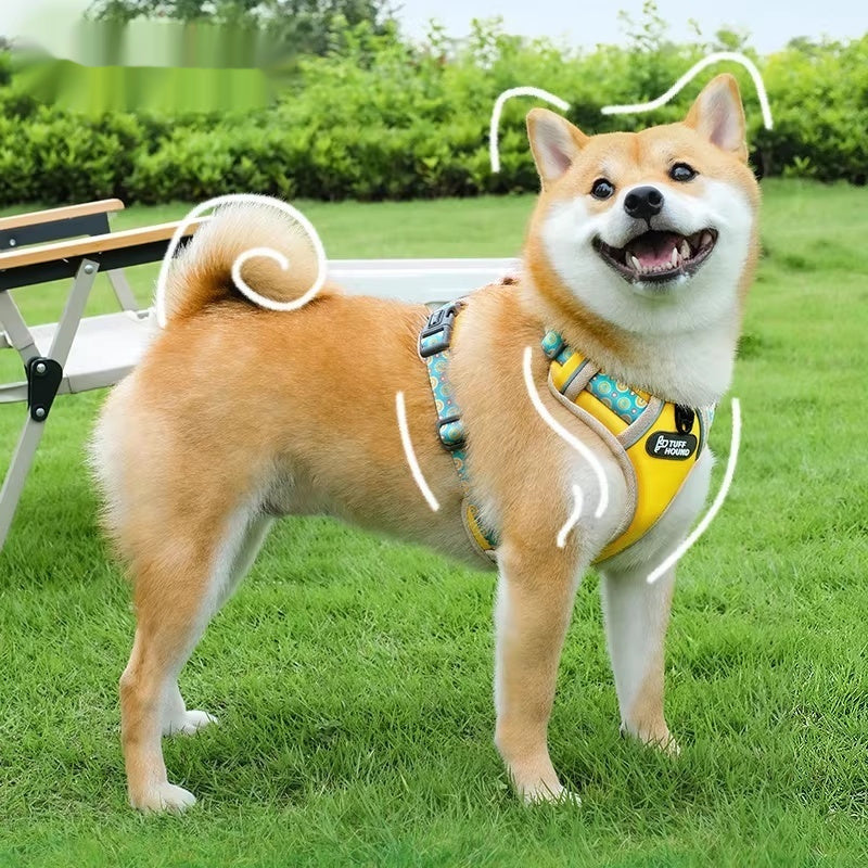 Pet Harness Vest-style Walking Leash
