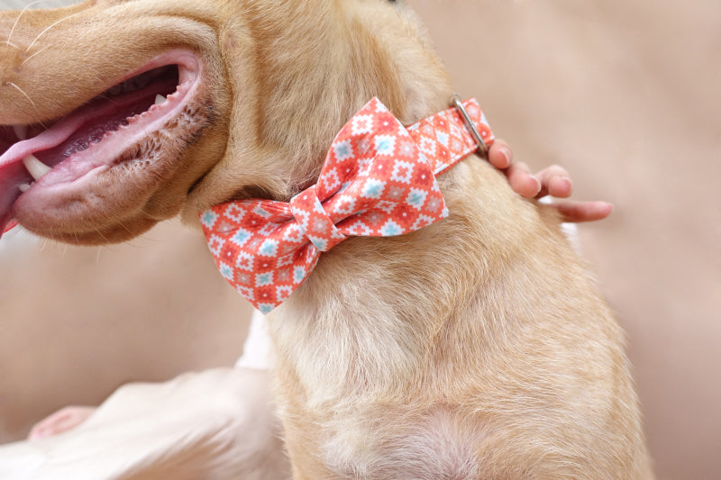 Thickened Pet Dog Leash