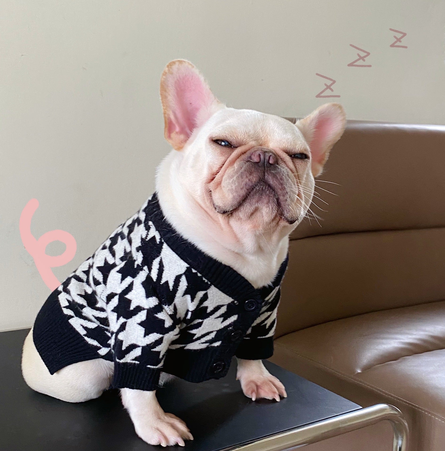 Pet Tide Brand Net Clothes Dog Cat