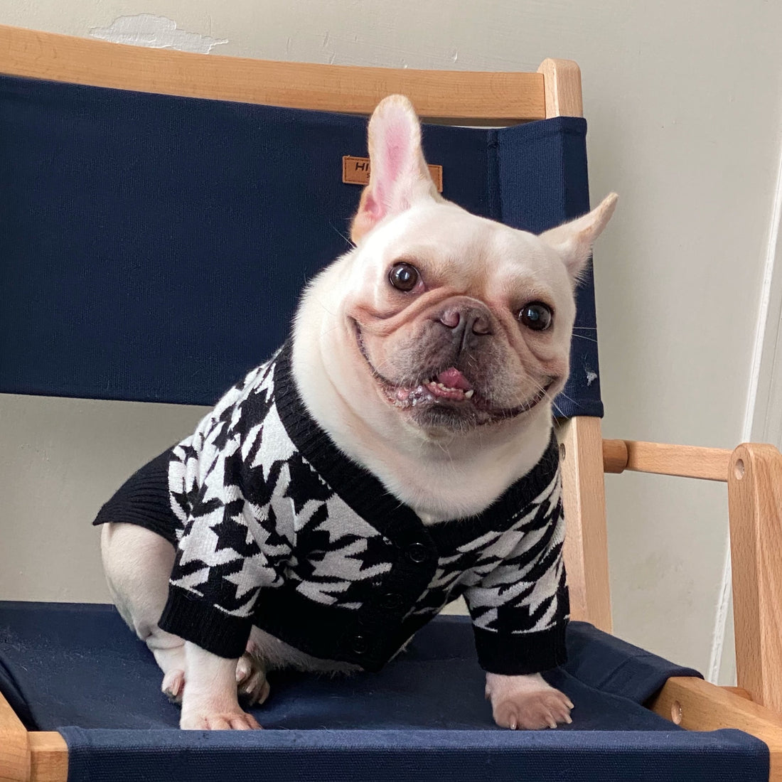 Pet Tide Brand Net Clothes Dog Cat