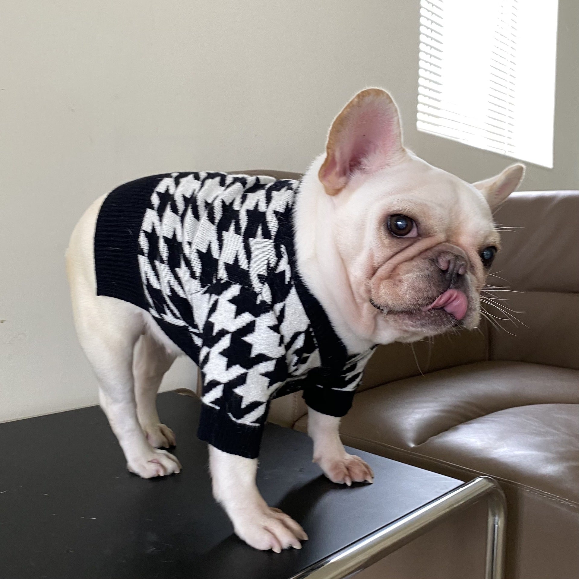 Pet Tide Brand Net Clothes Dog Cat