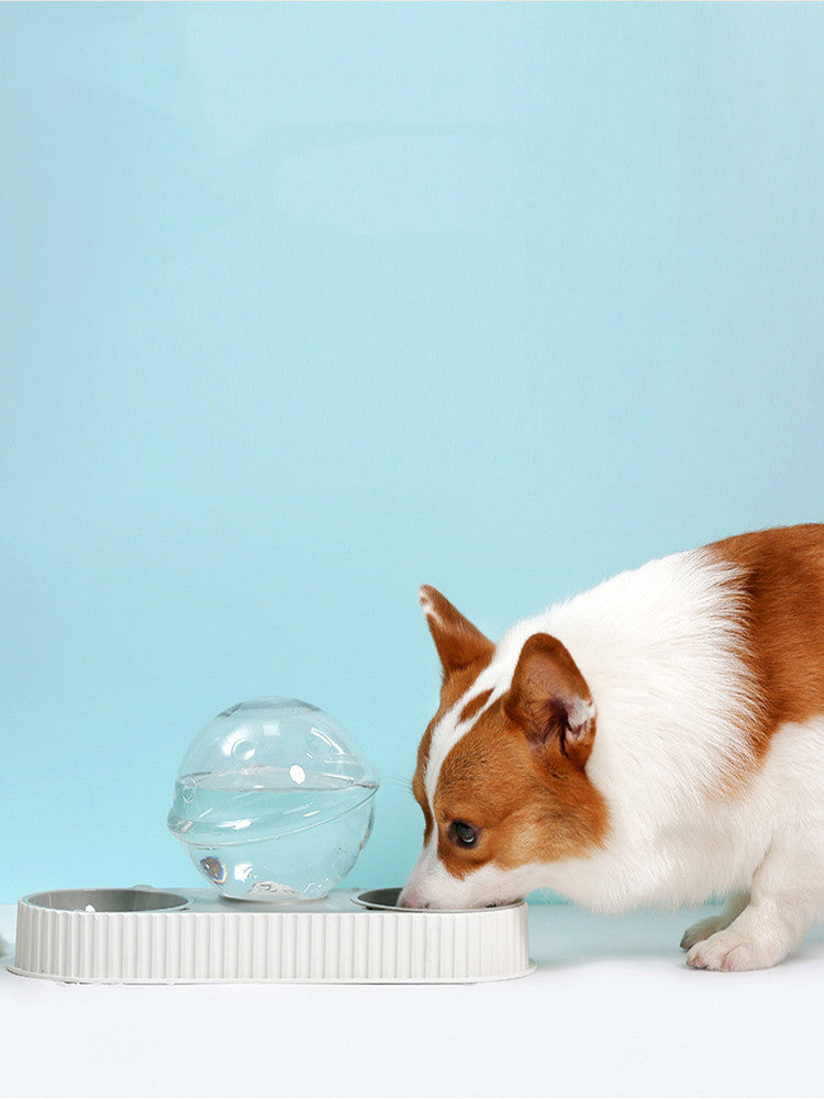 Water Bowl For Pets Dog Automatic Drinkers