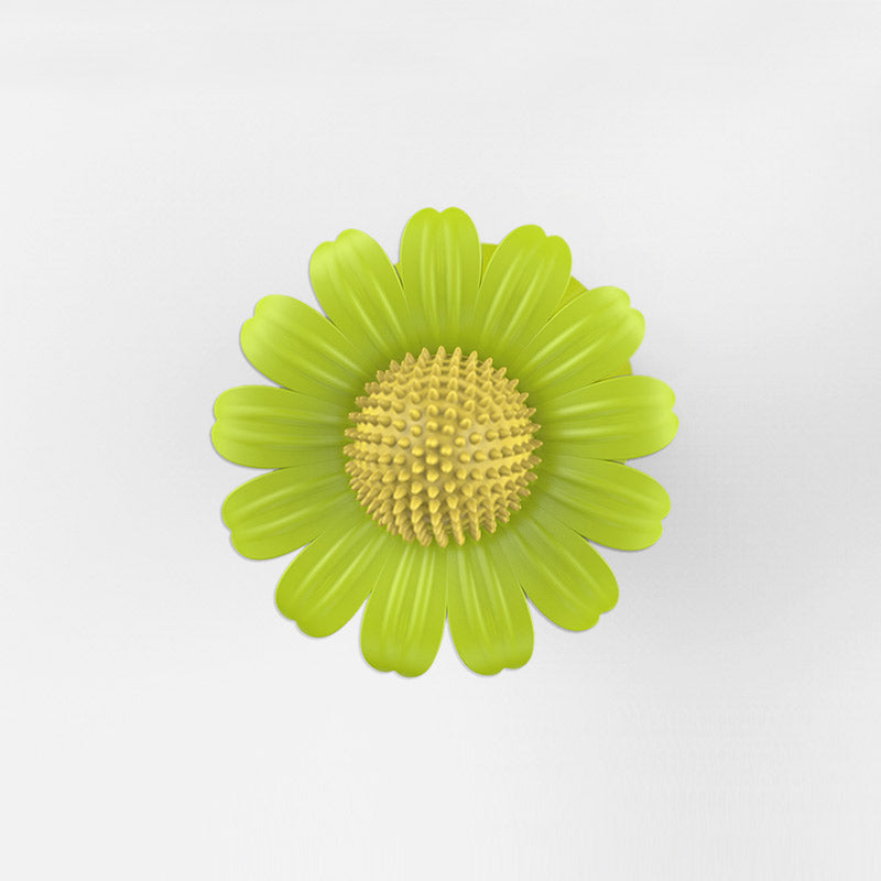 Leaking Food Ball Toy