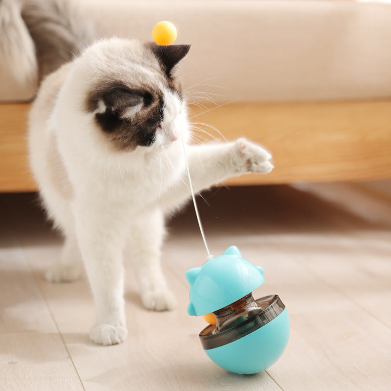 Leaking Food Ball Toy