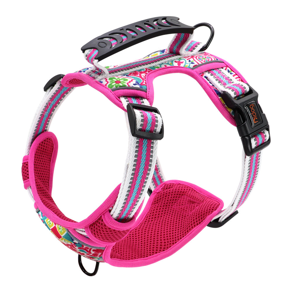 Small Medium And Large Dog Pet Leash