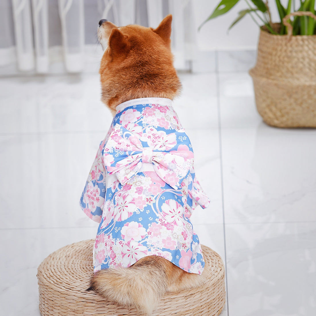 Kimono Pet Decoration Clothes Cat