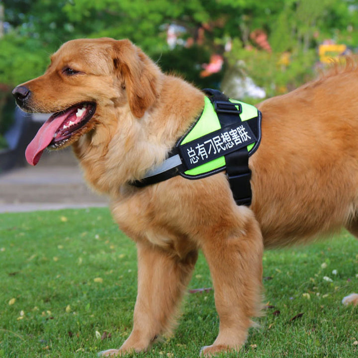 Simple Pet Leash Chest Strap Set
