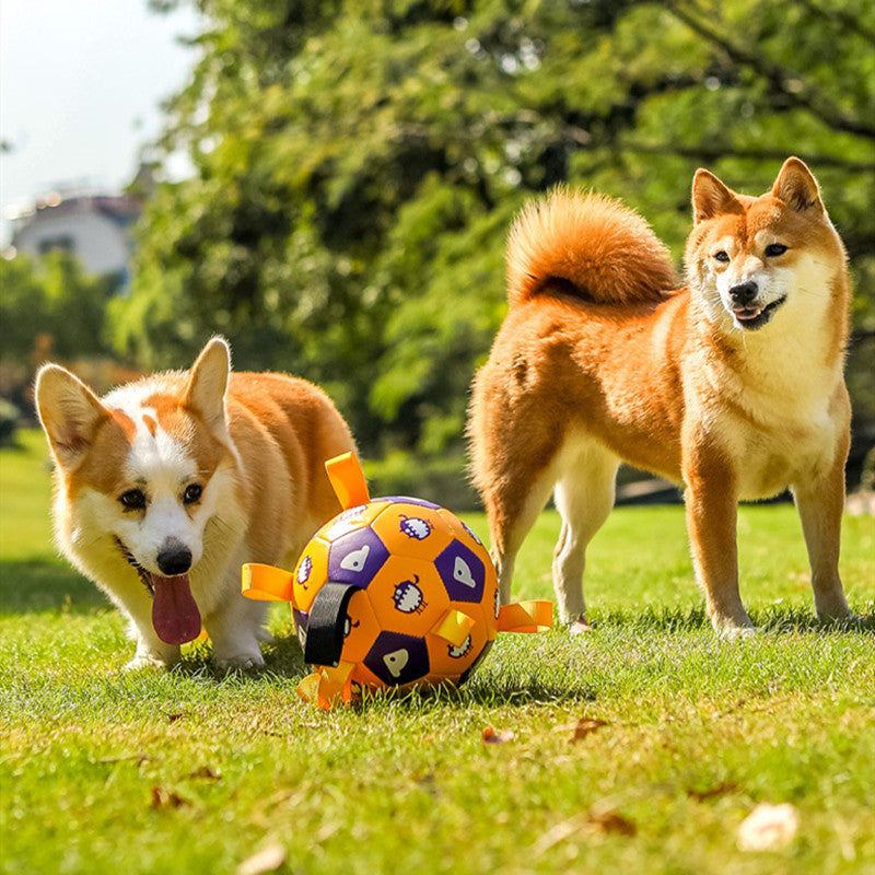 Pet Interactive Football Dog Toys