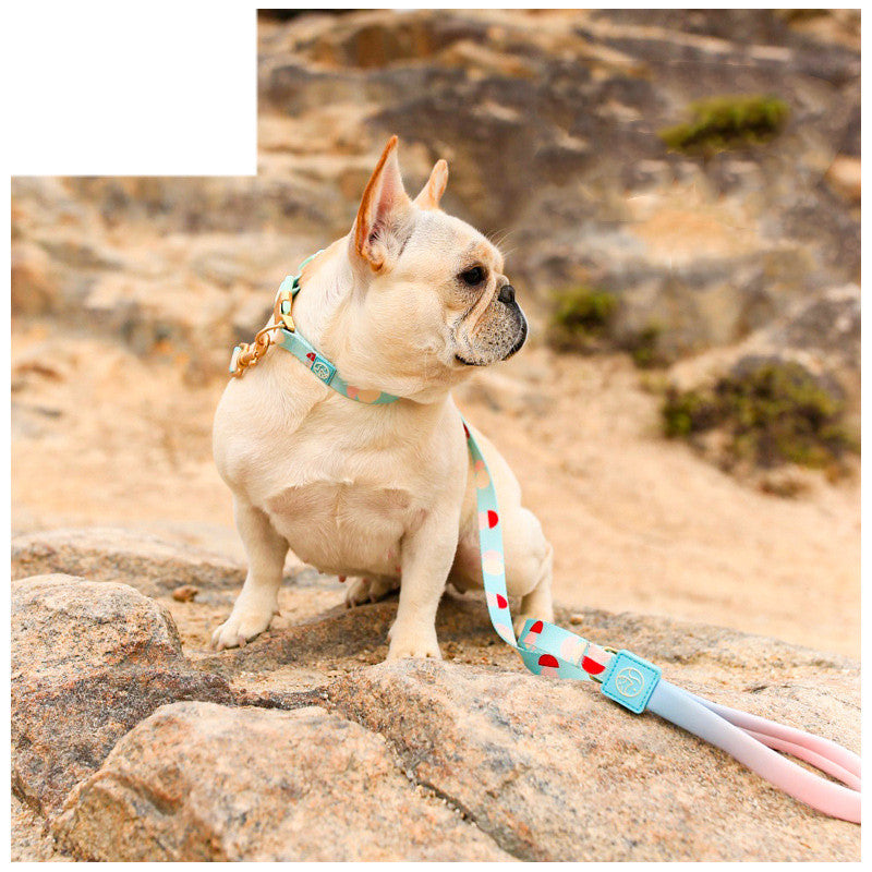 Y-shaped Chest Strap Pet Dog Leash