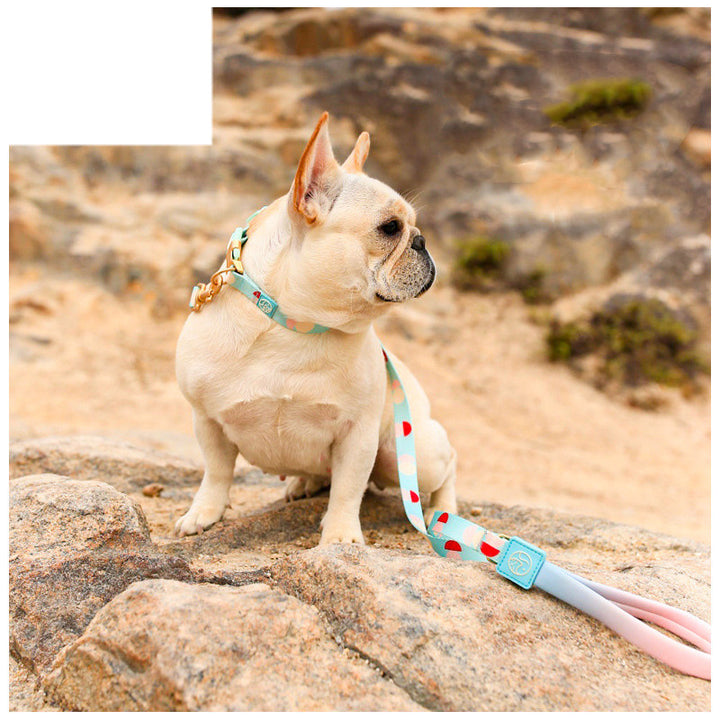 Y-shaped Chest Strap Pet Dog Leash