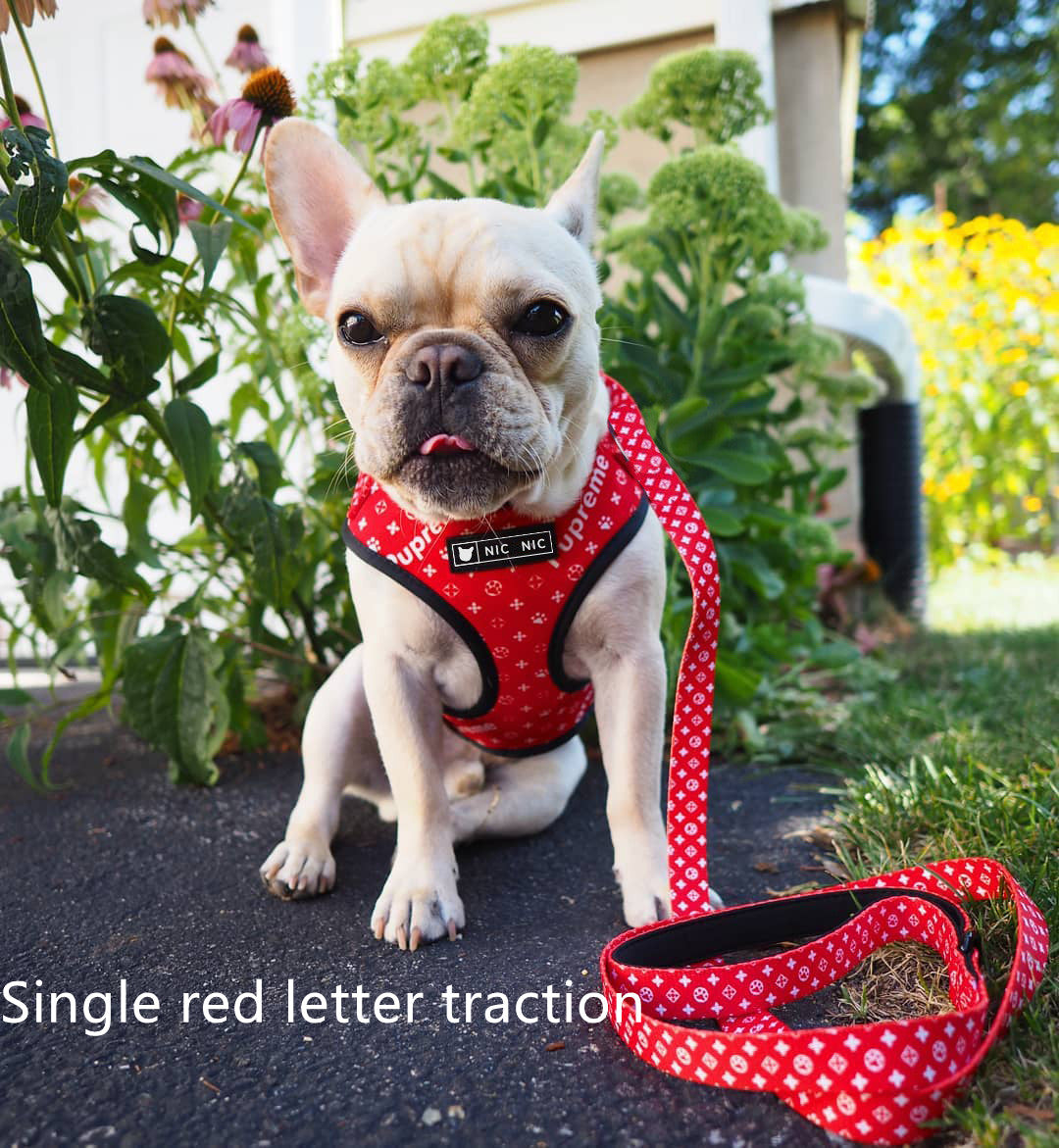 Ins Dog Pet Breathable Mesh Leash