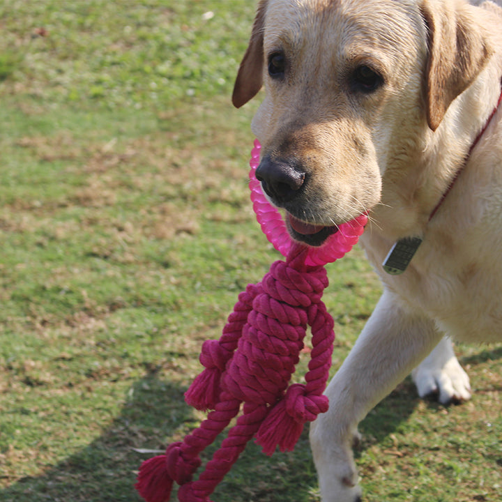Big dog interactive knot toy