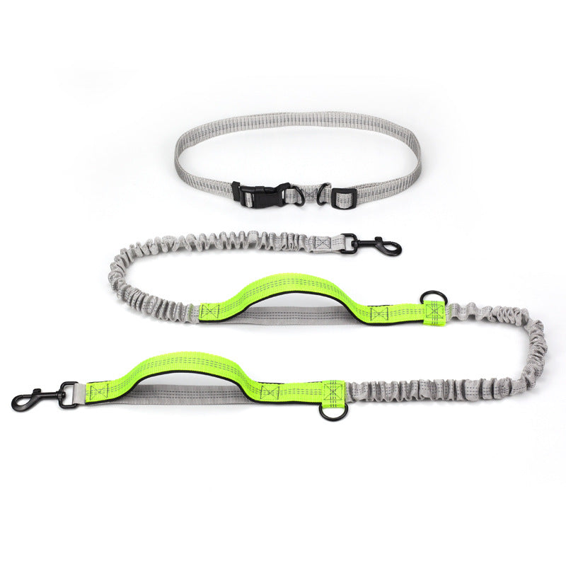 Pet Outdoor Running Dog Leash