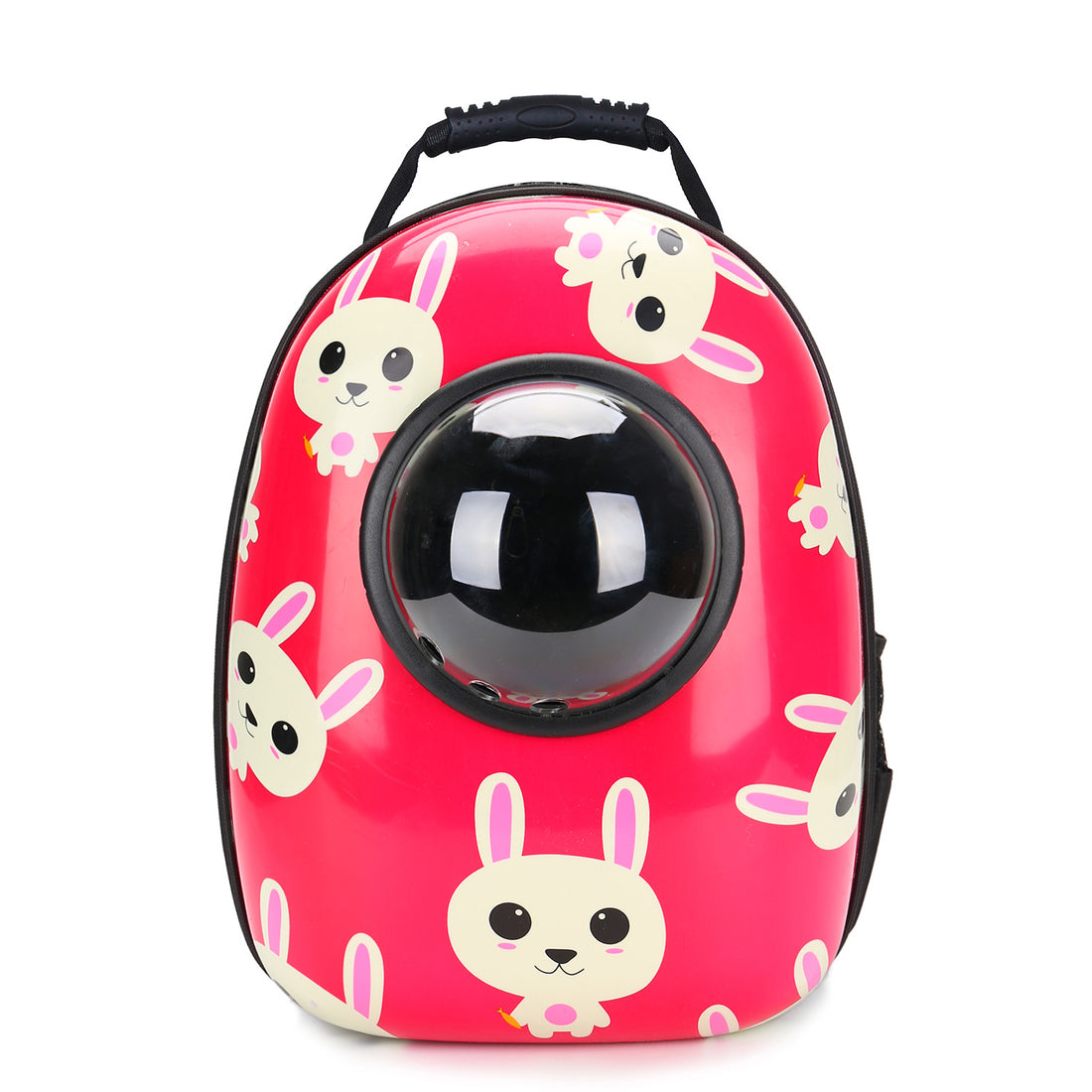 Pet bag, space capsule bag