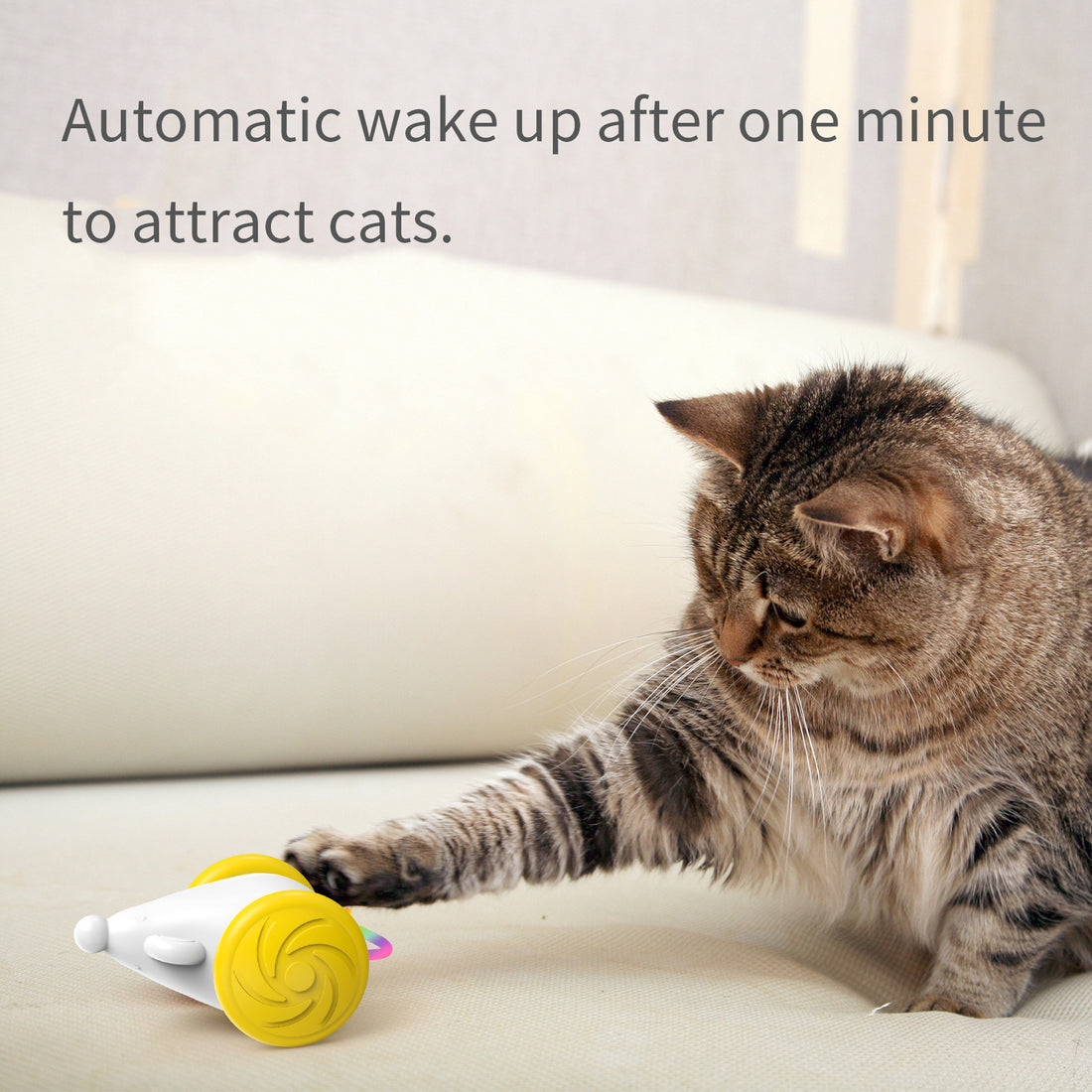Interactive Toy For Cats Simulation Mouse Toy