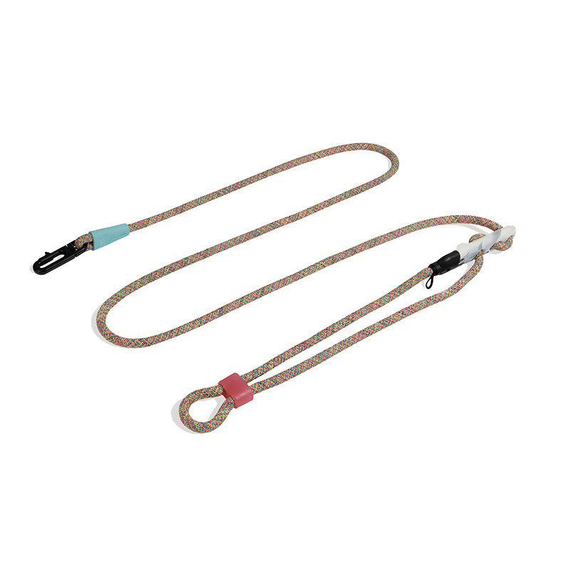 Pet Dog Minimalist Slant Leash