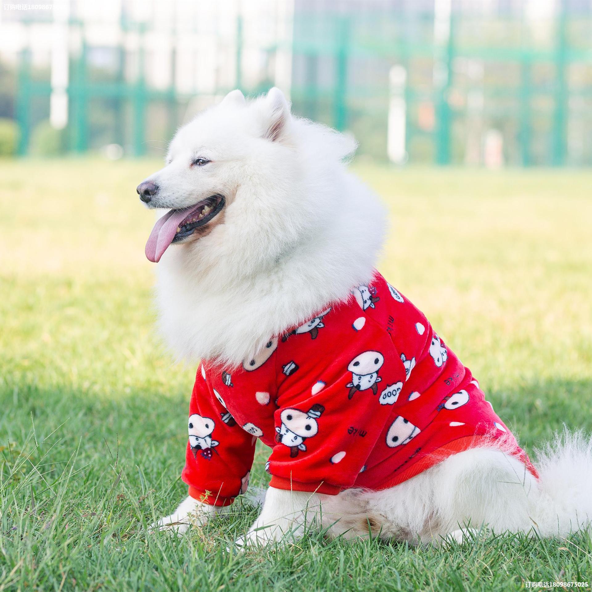 Pet Clothes Dog Transformation Dress