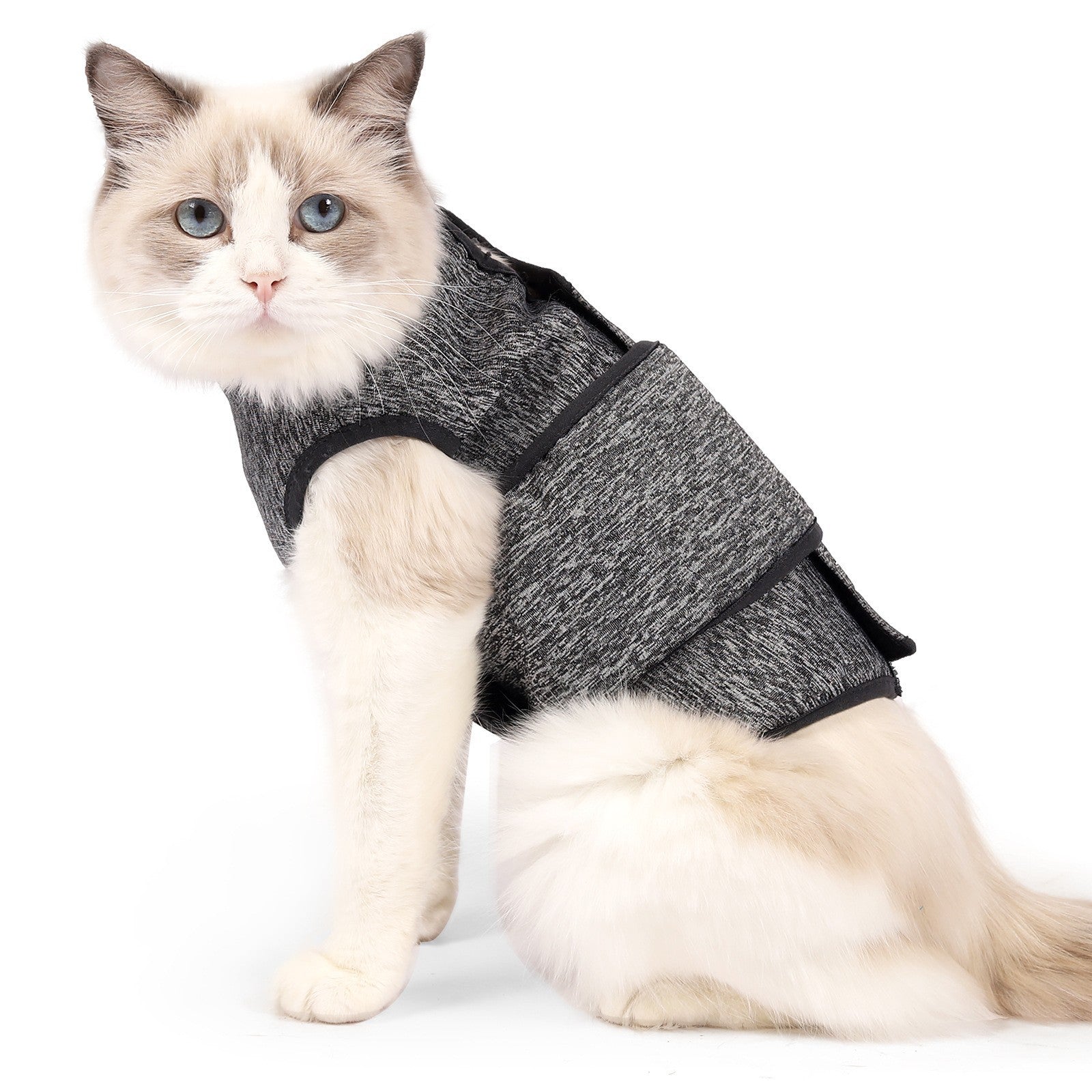 Pet Clothes Cat Clothes Spring