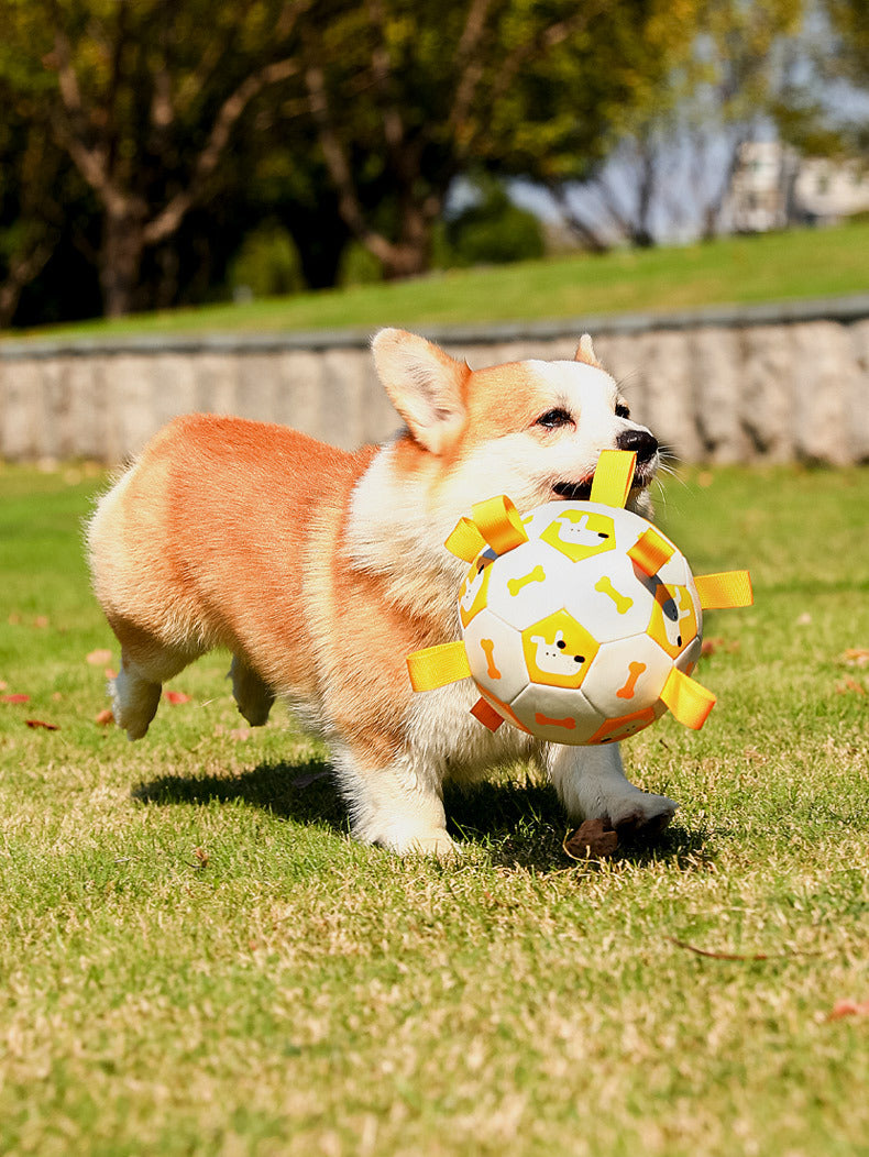 Pet Interactive Football Dog Toys