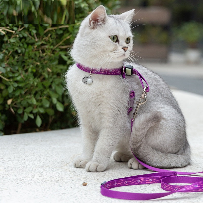Vest Small Dog Teddy Leash