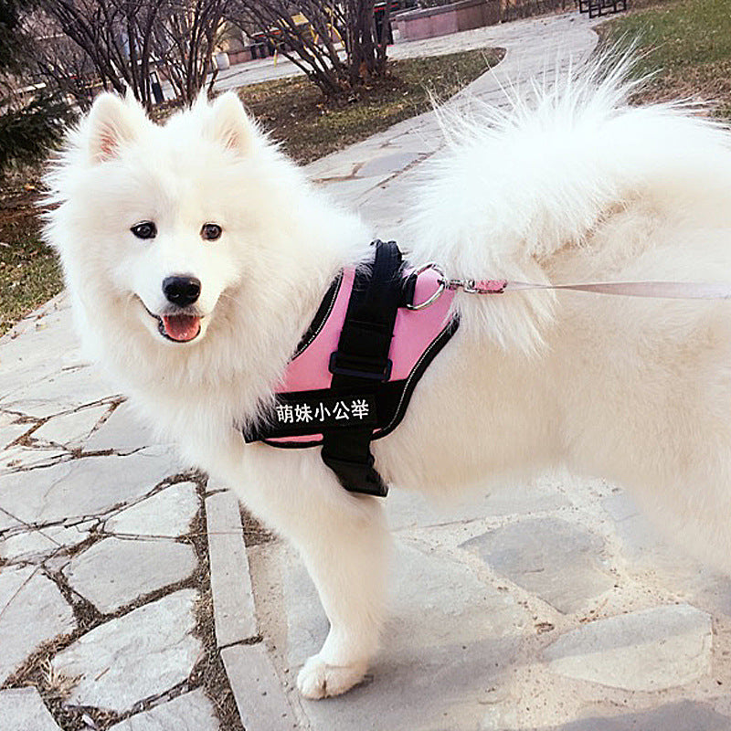 Simple Pet Leash Chest Strap Set