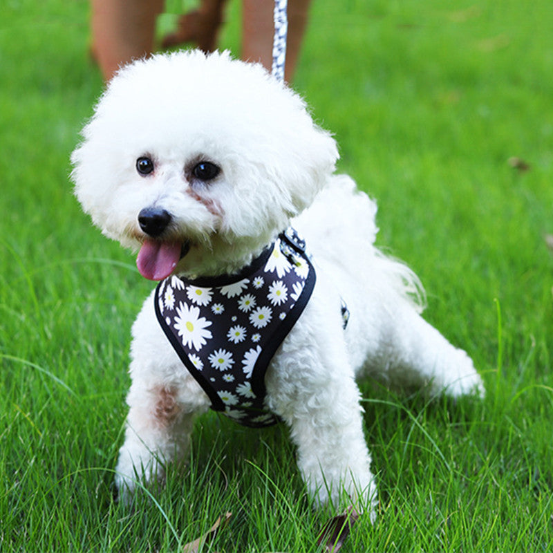 Breathable Dog Harness Leash Set