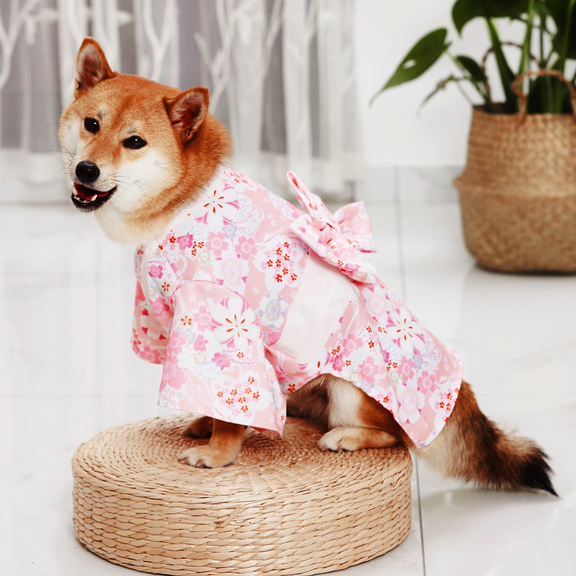 Kimono Pet Decoration Clothes Cat
