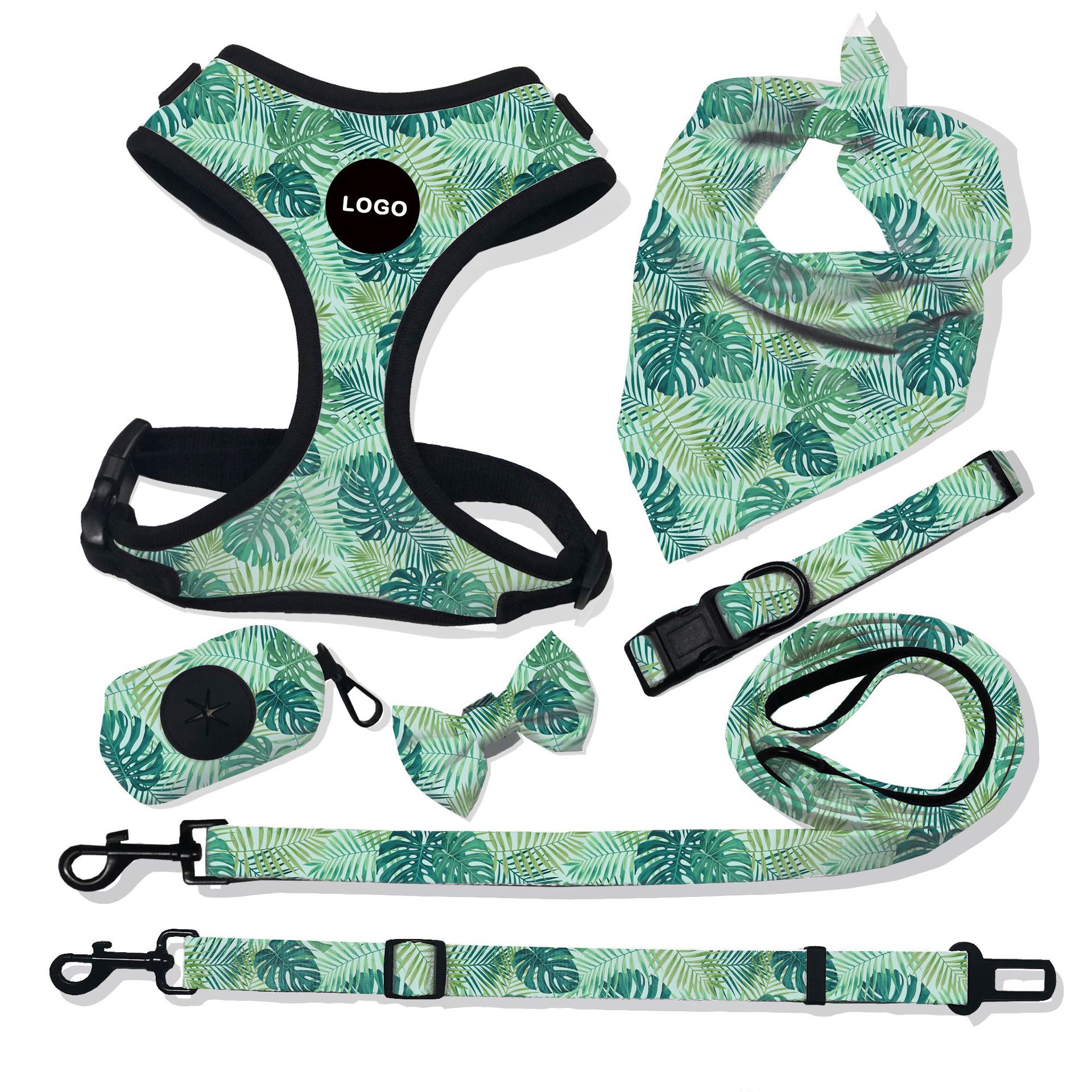 Breathable Dog Harness Leash Set
