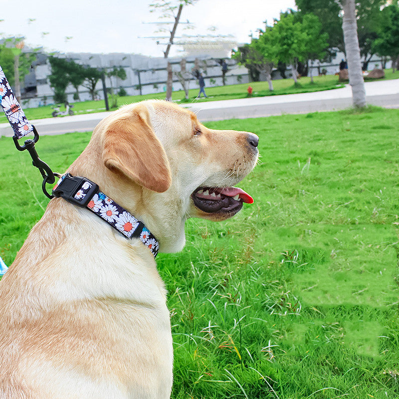 Pet Leash Vest Type Chest Back