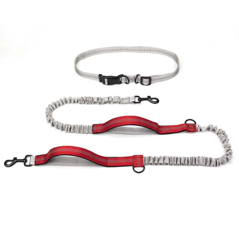 Pet Outdoor Running Dog Leash
