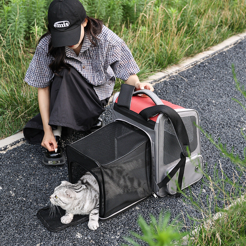 Portable Pet Backpack Expandable