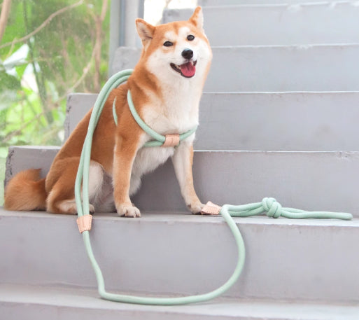 Pet Chest Harness Anti-Burst Leash