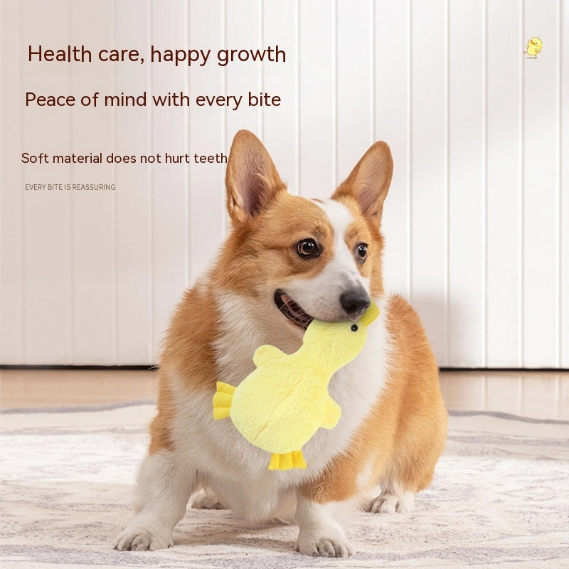 Pet Plush Large Molar Toy