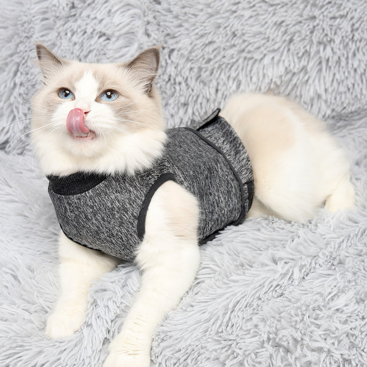 Pet Clothes Cat Clothes Spring