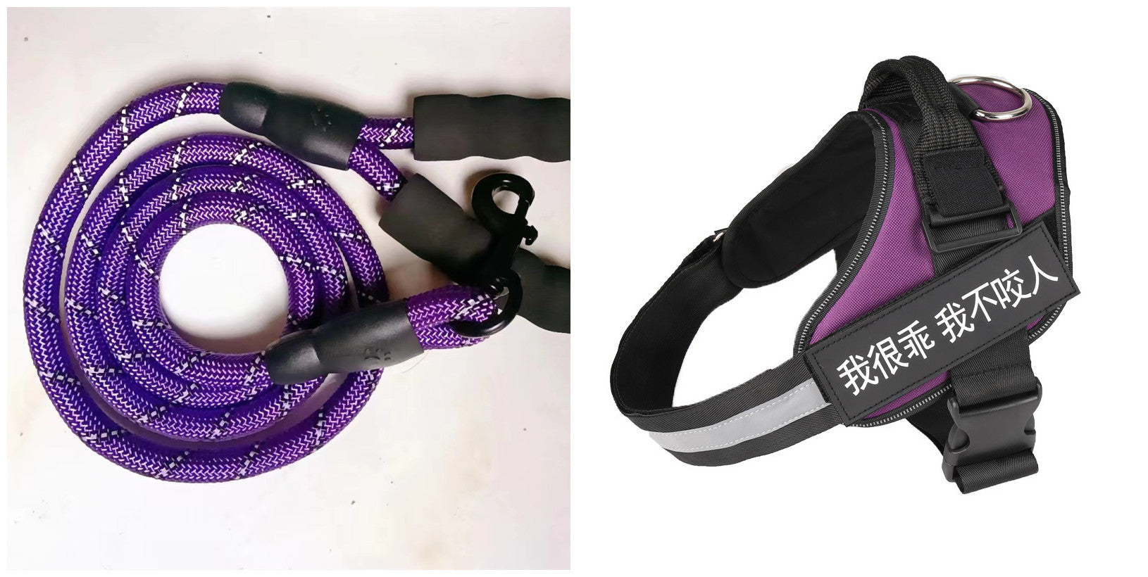 Simple Pet Leash Chest Strap Set
