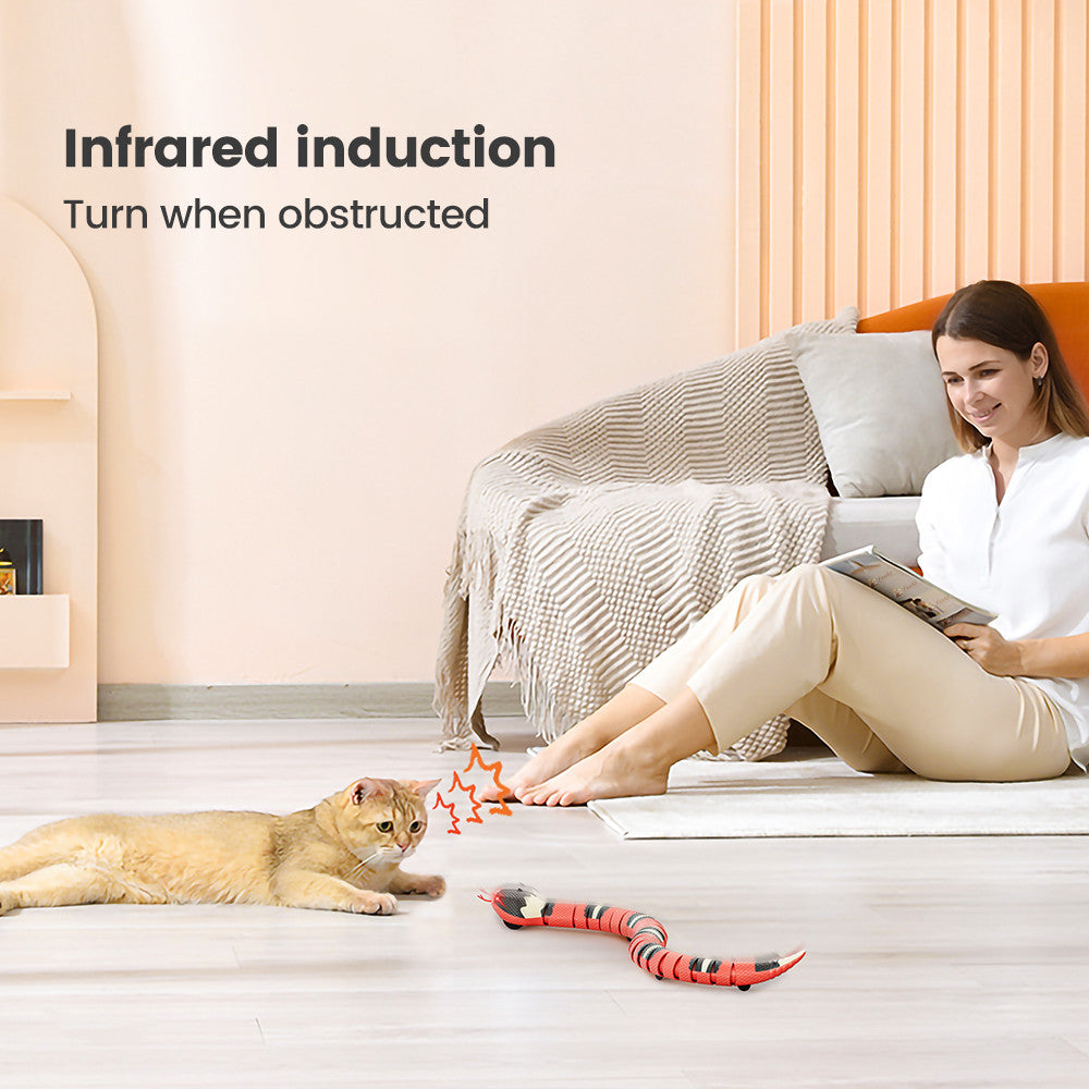 nteractive Sleeping Electric Induction Snake Toys