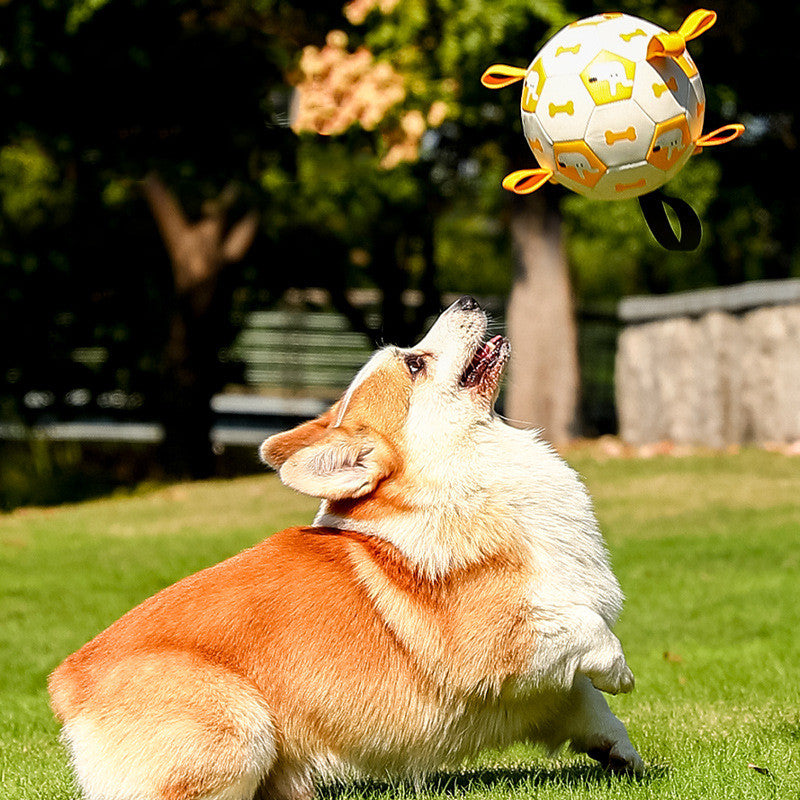 Pet Interactive Football Dog Toys