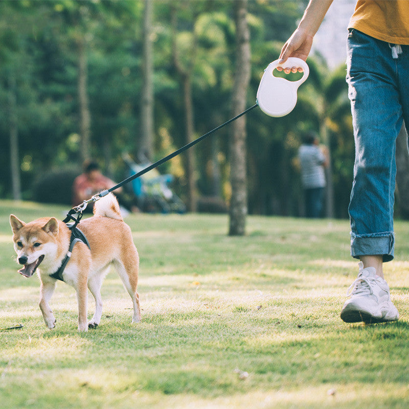 Pet Retractable Leash For Dogs