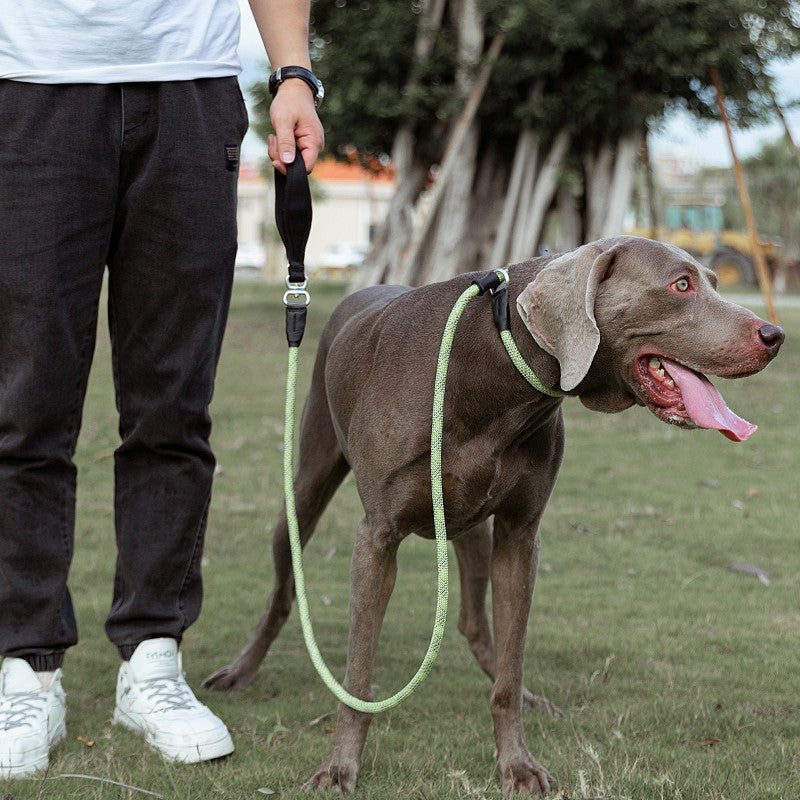 Pet Dog Leash Explosion-proof