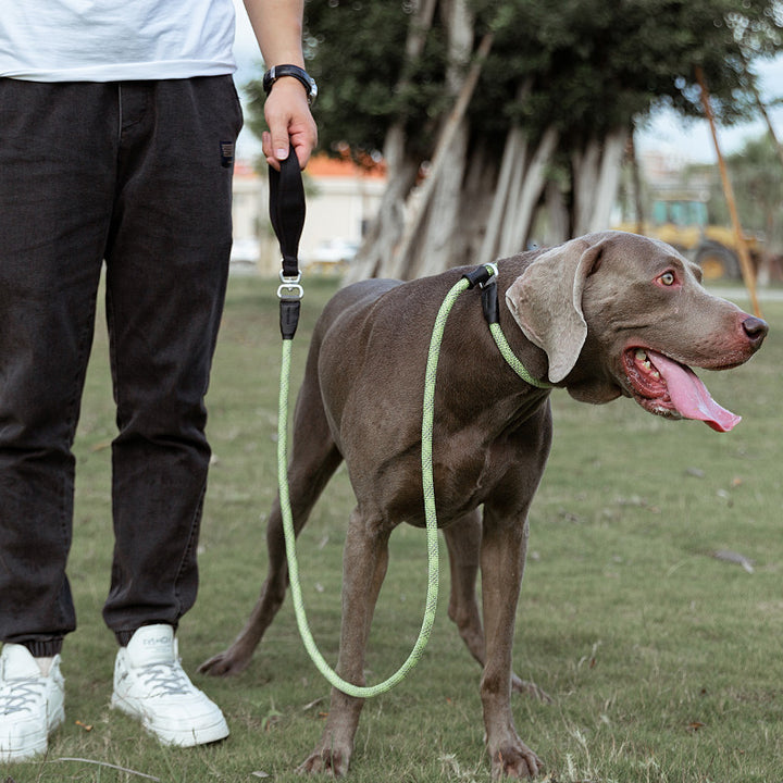 Pet Dog Leash Explosion-proof