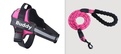 Simple Pet Leash Chest Strap Set
