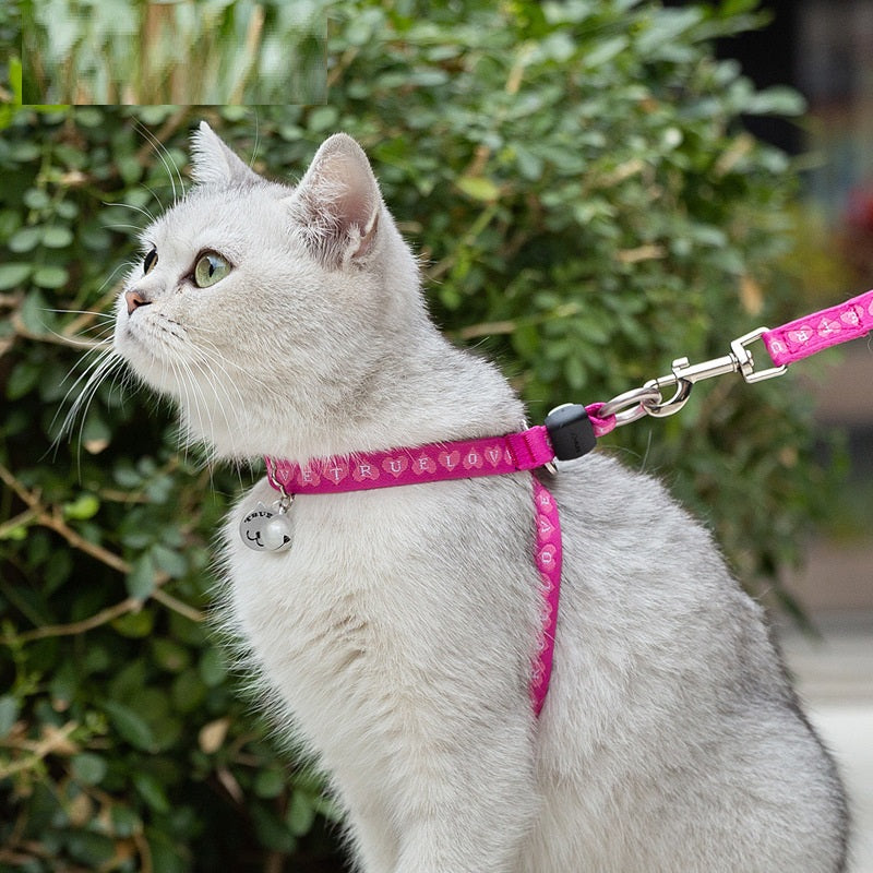 Vest Small Dog Teddy Leash