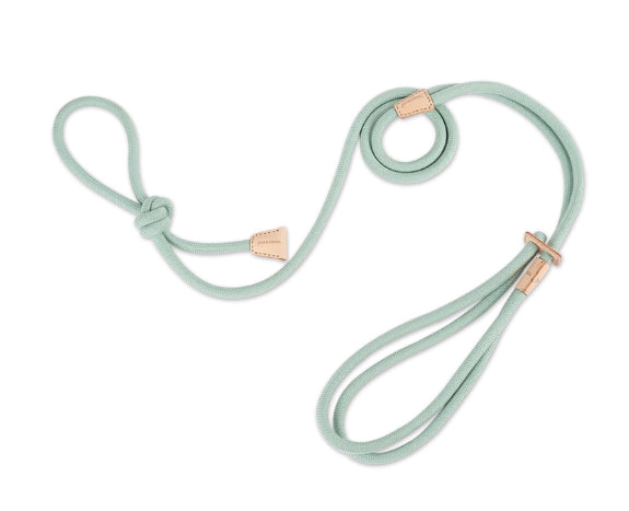 Pet Chest Harness Anti-Burst Leash
